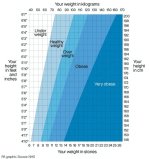 Weight and Height.jpg