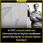 1693140077778.jpg 1693140077778.jpg