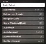 Audio Options.jpg