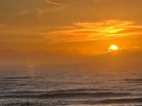IMG_2461.JPG