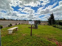 IMG_2547-EDIT.jpg