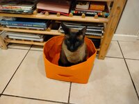 IMG20250414201833.jpg