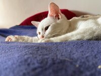 IMG_3010.JPG