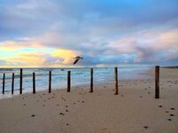 IMG20250823175446-EDIT.jpg