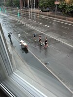 IMG_2966.jpeg