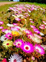 IMG20250914141711~2.jpg