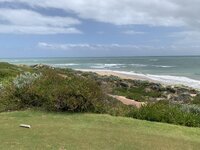 IMG_8724.jpeg