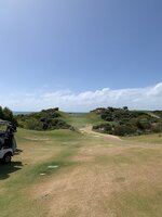 IMG_8725.jpeg