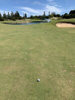 IMG_8718.jpeg