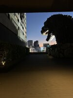 IMG_3198.jpeg