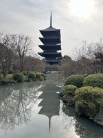 IMG_3225.jpeg
