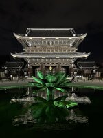 IMG_3239.jpeg