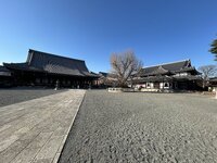 IMG_3210.jpeg