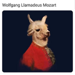 1768892131651.jpg