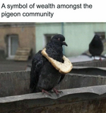 1770387086952.jpg