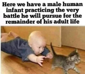 1777030393230.png