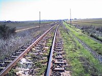 PICT0013.jpg