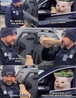1779185319015.png