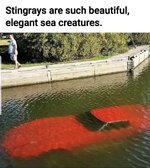 WhatsApp Image 2026-06-18 at 13.36.43.jpeg