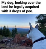 1792656281611.png