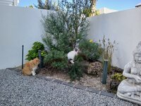 20240901_095936.jpg