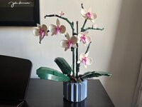 IMG_5637.jpeg