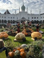 IMG_2288.jpeg