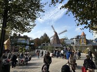 IMG_2294.jpeg