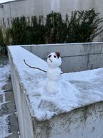 IMG_2348.jpeg