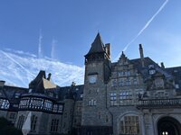IMG_9429.jpeg