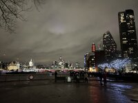 IMG_2384.jpeg
